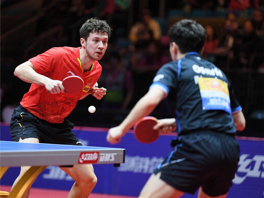 迷的认可 迷的认可